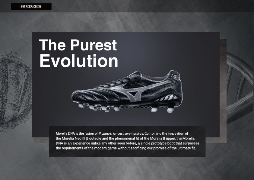 MORELIA DNA JAPAN